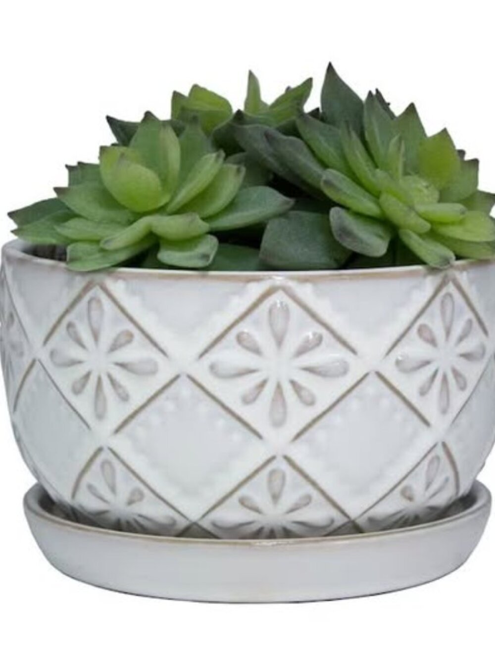 White Embossed Ceramic Indoor Planter w/Attached Saucer Round Plant Pot, 6"